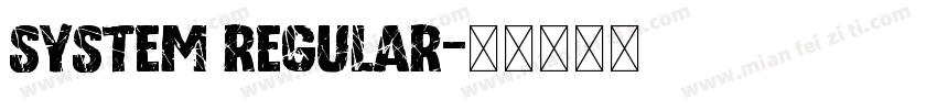 System Regular字体转换